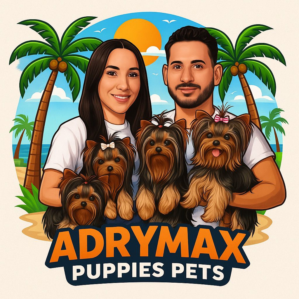 Adrymax Puppies Pets Logo